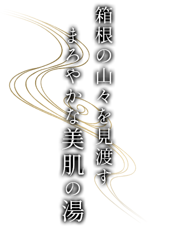 箱根の山々を見渡すまろやかな美肌の湯